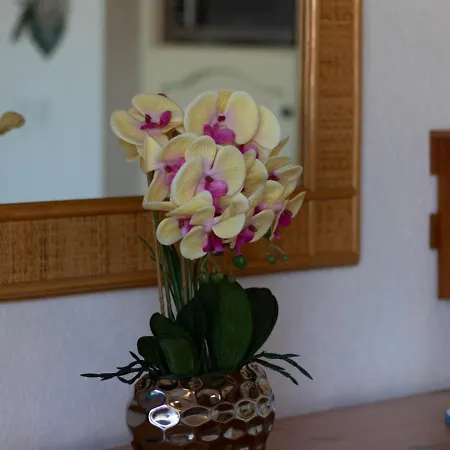 Fivento, Plage, Clim, Terrasse, Parking Prive Apartament Agde